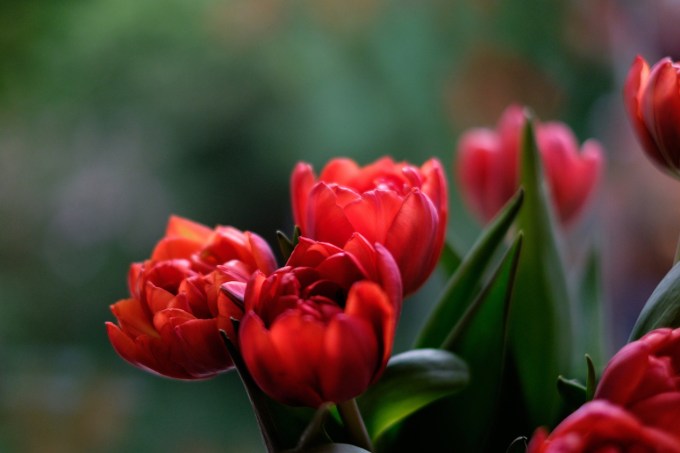 DSCF6314PROVIA+ Kopie